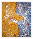 Cosmic Encounter I
